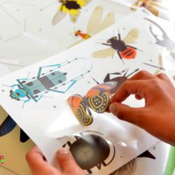 Beloningsposter insecten