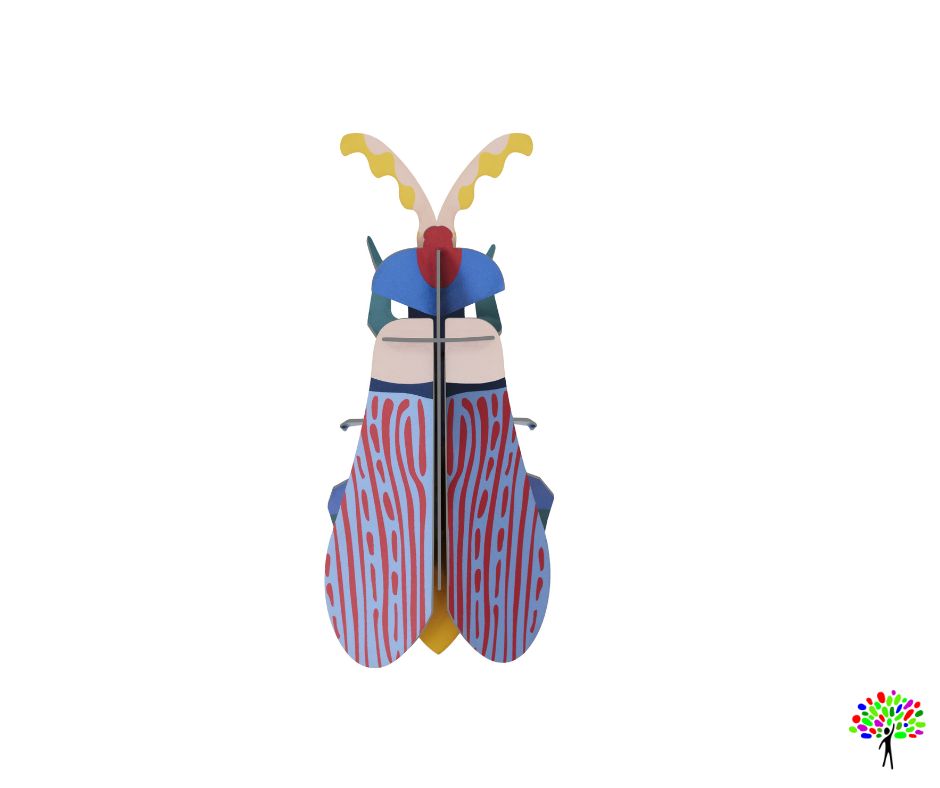 Striped Wing Beetle - Afbeelding 3