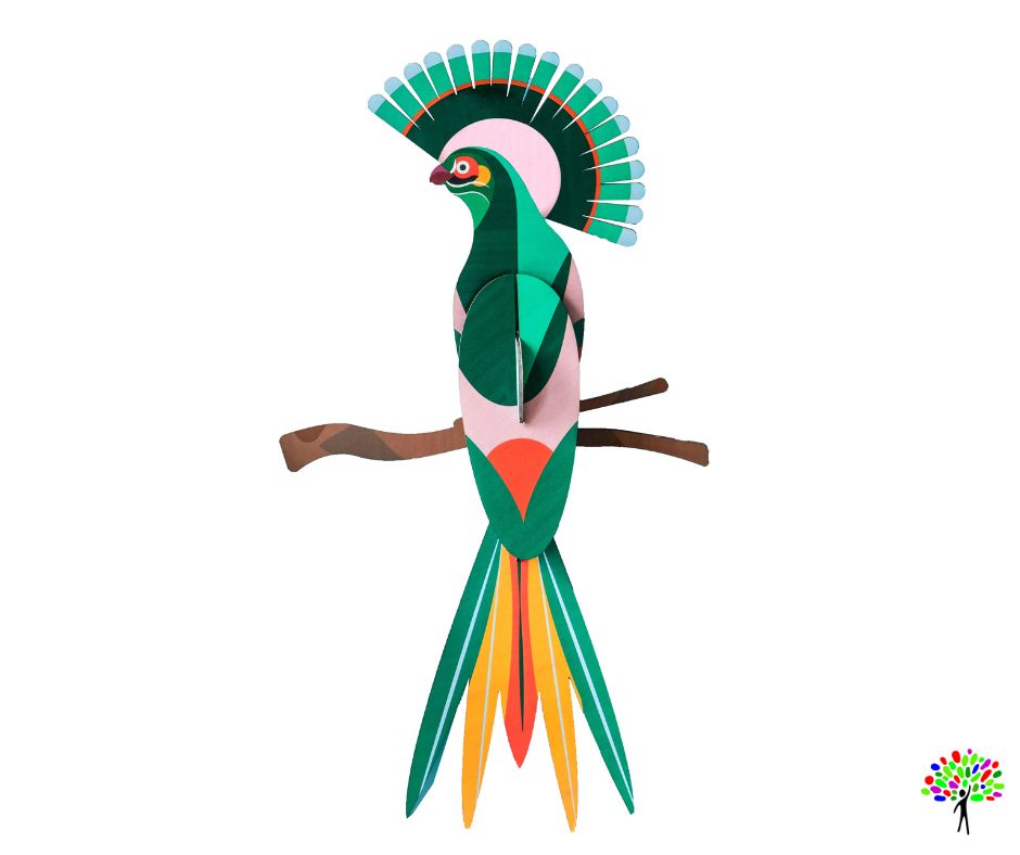 Gili bird - Afbeelding 3