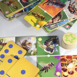 Insecten domino