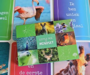 Mindset producten voor groei, gesprek en reflectie