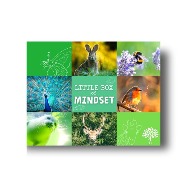 Little Box of Mindset