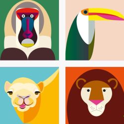 Dieren Magneten Aap
