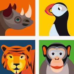 Dieren magneten Neushoorn