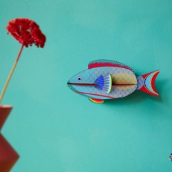 Parrot fish