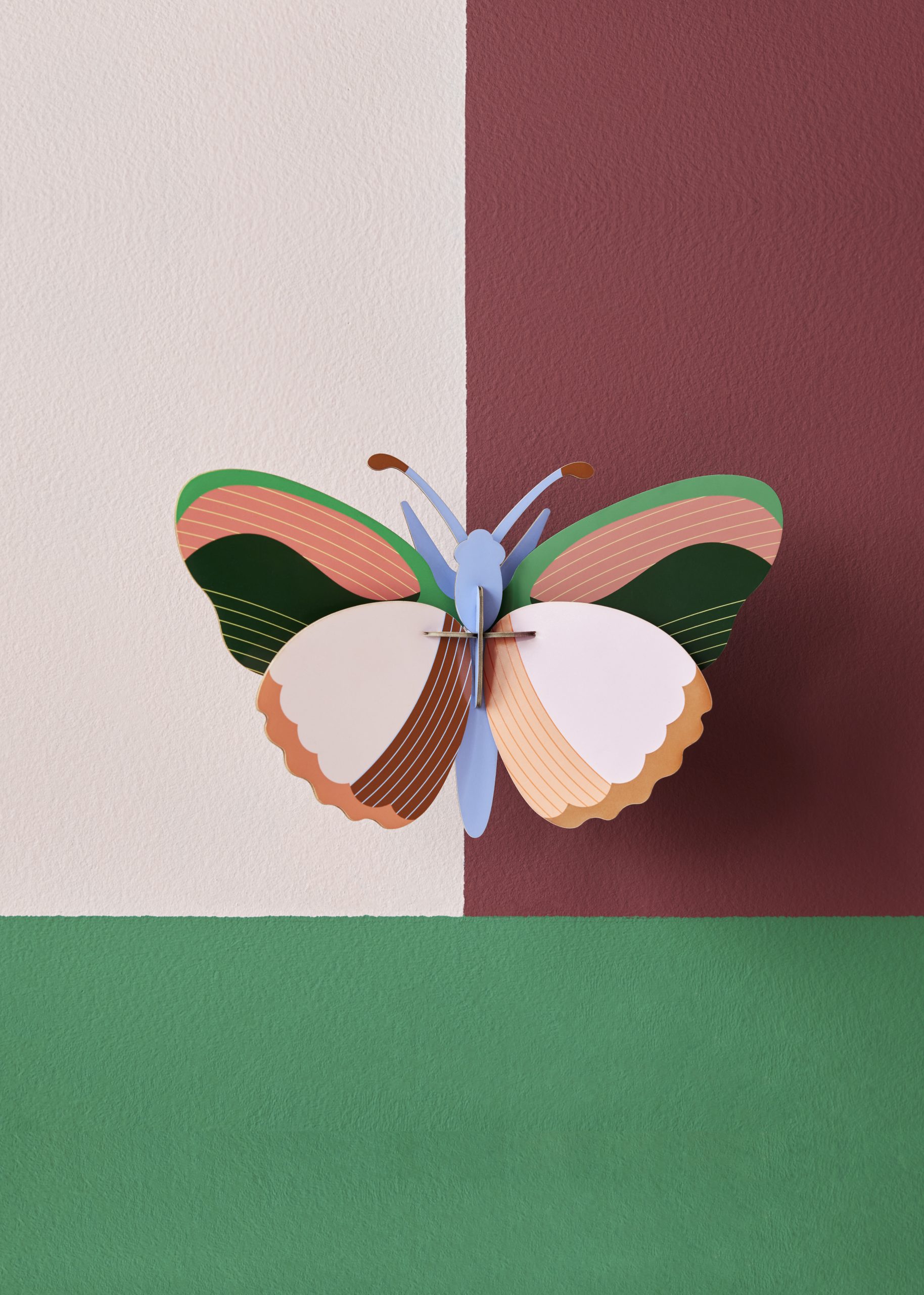 Sycamore Butterfly - Afbeelding 2