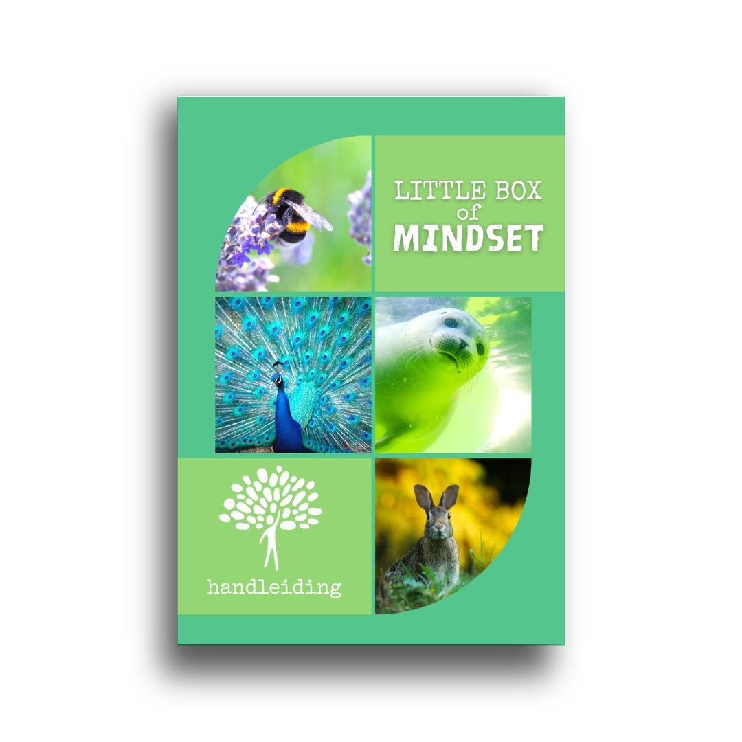 Little Box of Mindset (Handleiding)