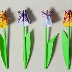 Vouwtulpen