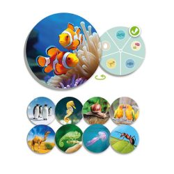 Dierenwereld classificeren