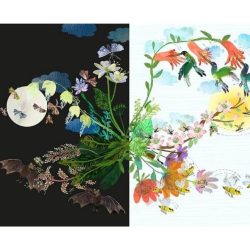 Briljante bloemenstickerboek
