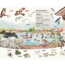 Speur poep en andere sporen