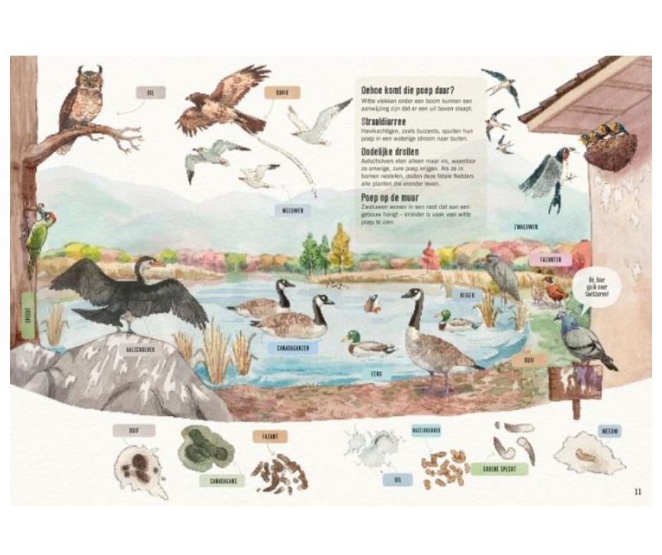 Speur poep en andere sporen