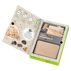 Natuur Uithakset Fossielen