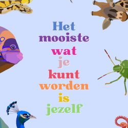 Poster - Het mooiste