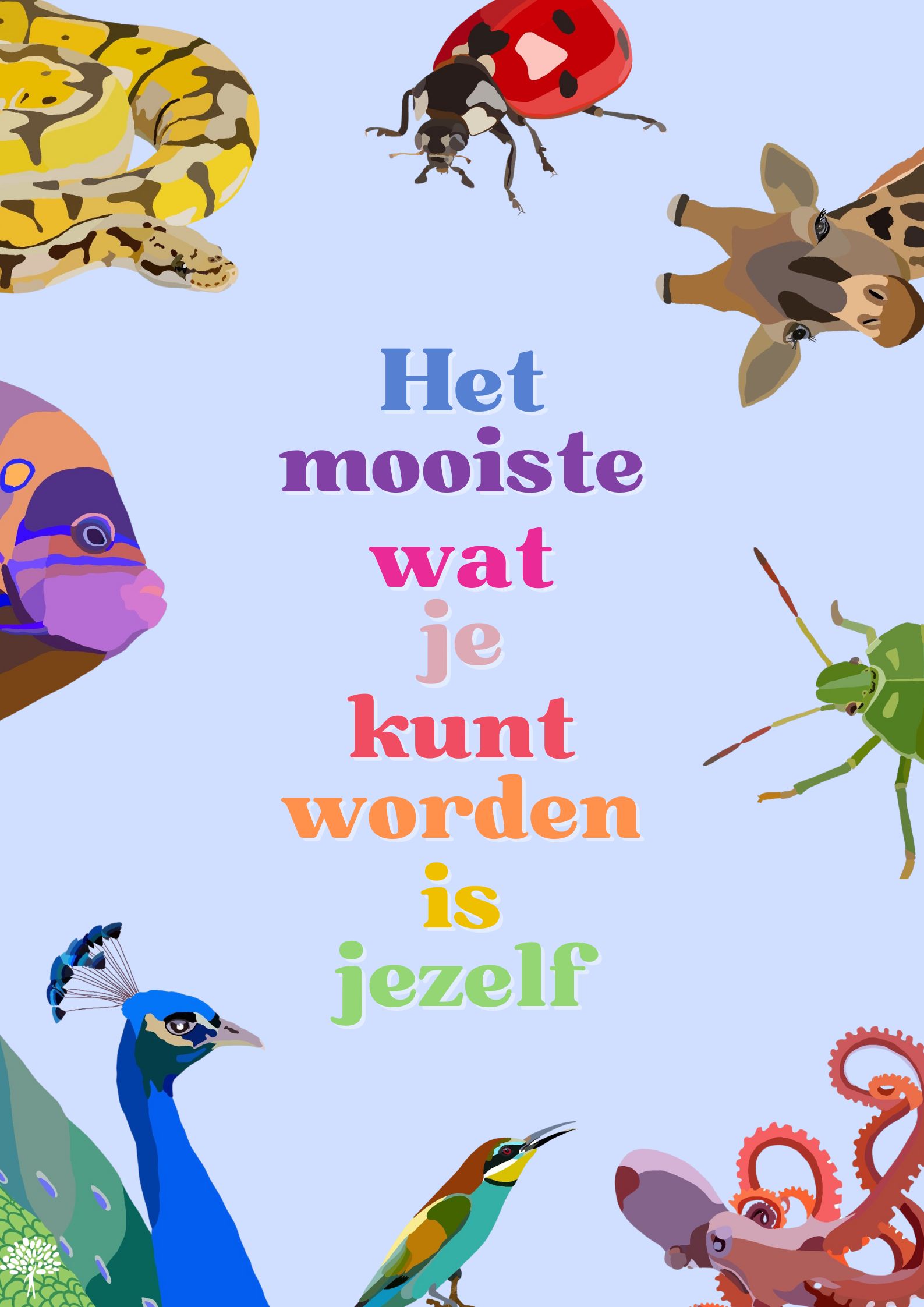 Poster - Het mooiste