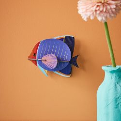 Butterfly Fish