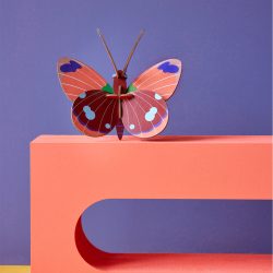 Delias Butterfly