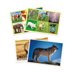BINGO dieren & natuur