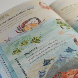 Zinderende zeeboek