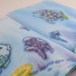 De mooiste vis van de zee