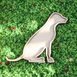 Vulvorm hond