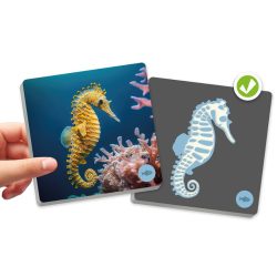 MEMORY Dieren en hun skelet