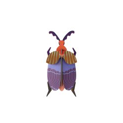 Queen beetle