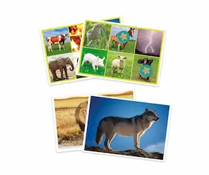 Review afbeelding natuurspel