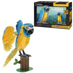 3D-puzzel papegaai