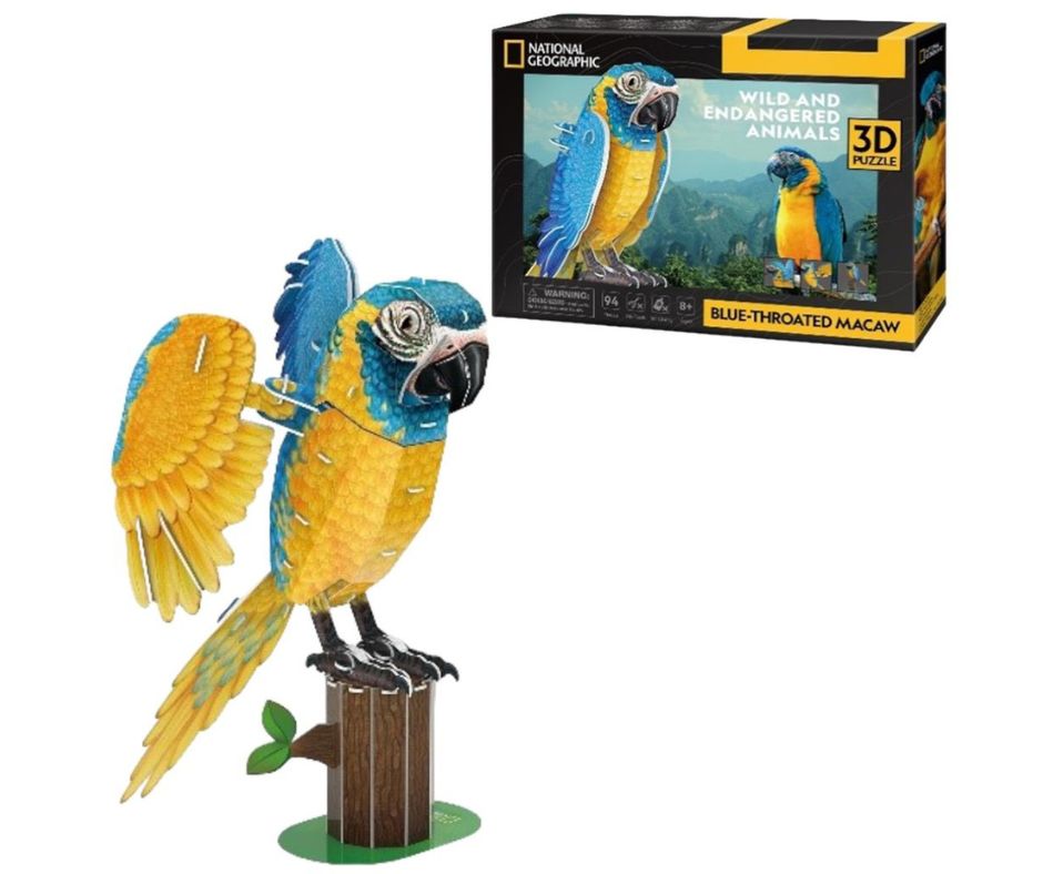 3D-puzzel papegaai - Afbeelding 2