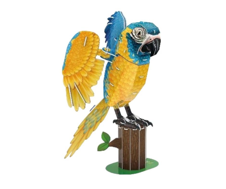 3D-puzzel papegaai - Afbeelding 3