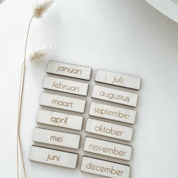 Maanden pictogrammen