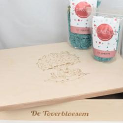 Houten speelbak Dinosaurus met deksel (meerdere ontwerpen)