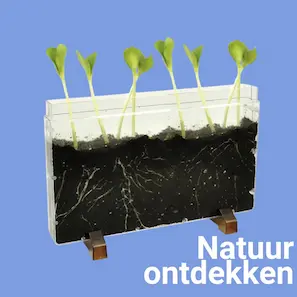 Natuurmaterialen om de wereld te ontdekken