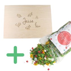 Speelset Dino -Speelbak + 1 kilo Dinospeelrijst (kortingsset)