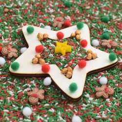 Vulvorm ster - kerst