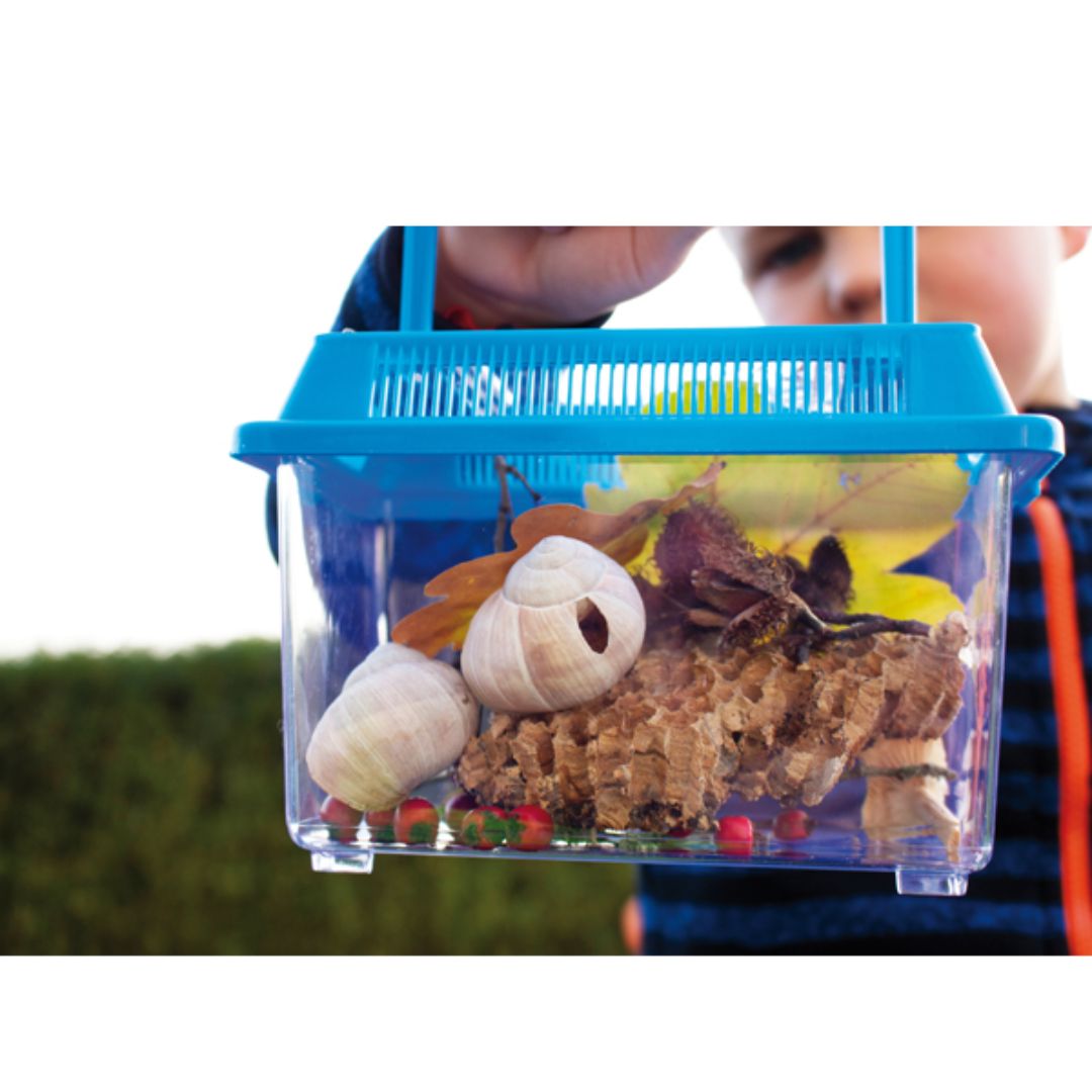 Insectenboxen 2-delige Set - Afbeelding 3